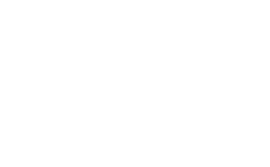 Forge Garage MOT